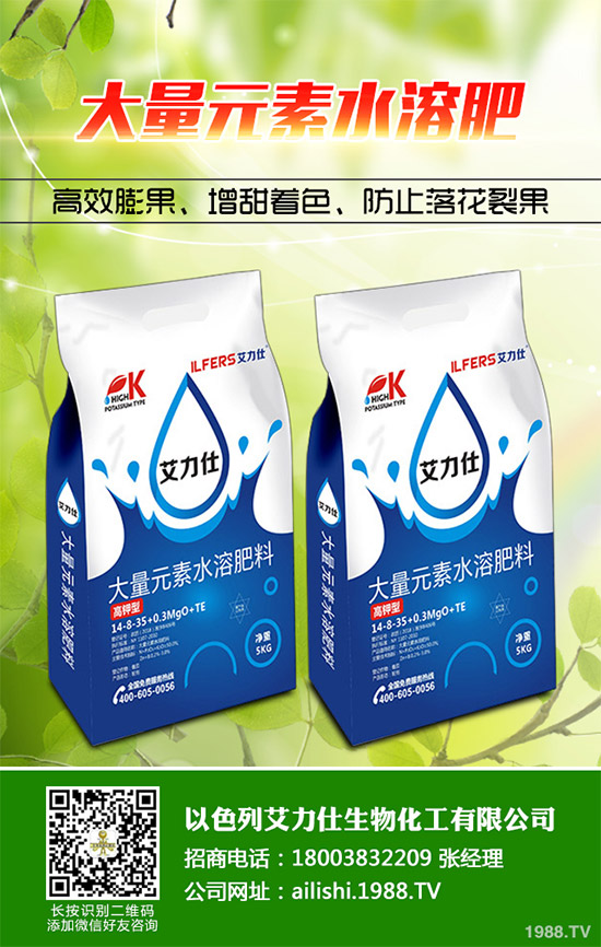 芹菜根腐病是如何發(fā)生的?該怎樣防治?快來看看吧!