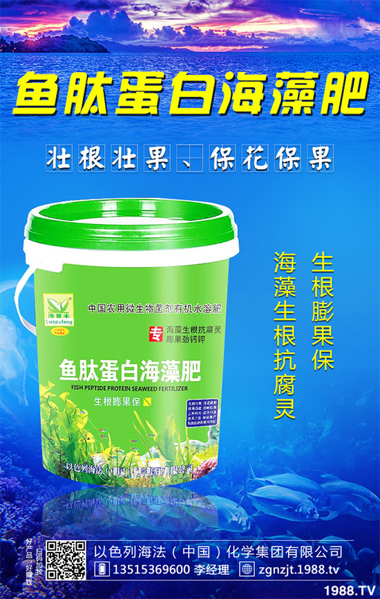 �۲˲���������ЩΣ����ԓ��η��Σ��۲˲�������Σ���c����