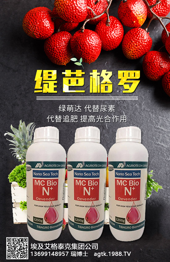 ���A�ĠI�B(y��ng)�rֵ����Щ����Ч�c��������Щ��������Щ��Ⱥʳ�ã�