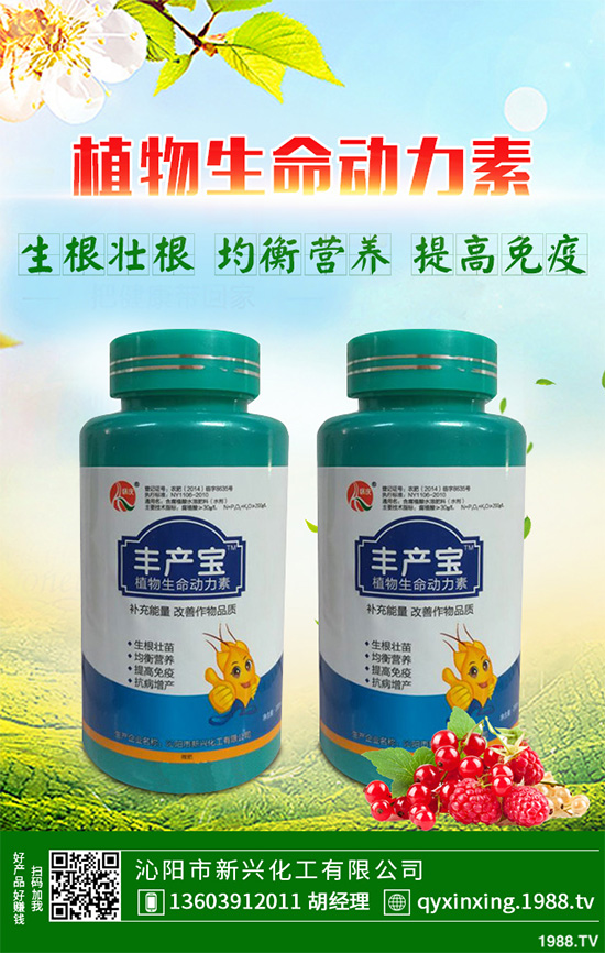 ���Ӳ��ܷN�ô�ײ�����ײ˸߮a(ch��n)�Nֲ���g(sh��)Ҫ�c