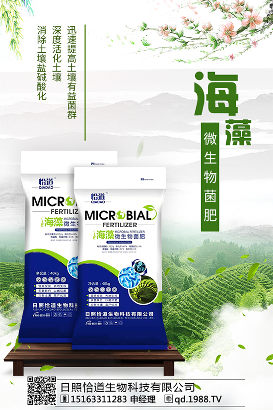     ��������Щ�I(y��ng)�B(y��ng)�r(ji��)ֵ����������ʲô��̎��