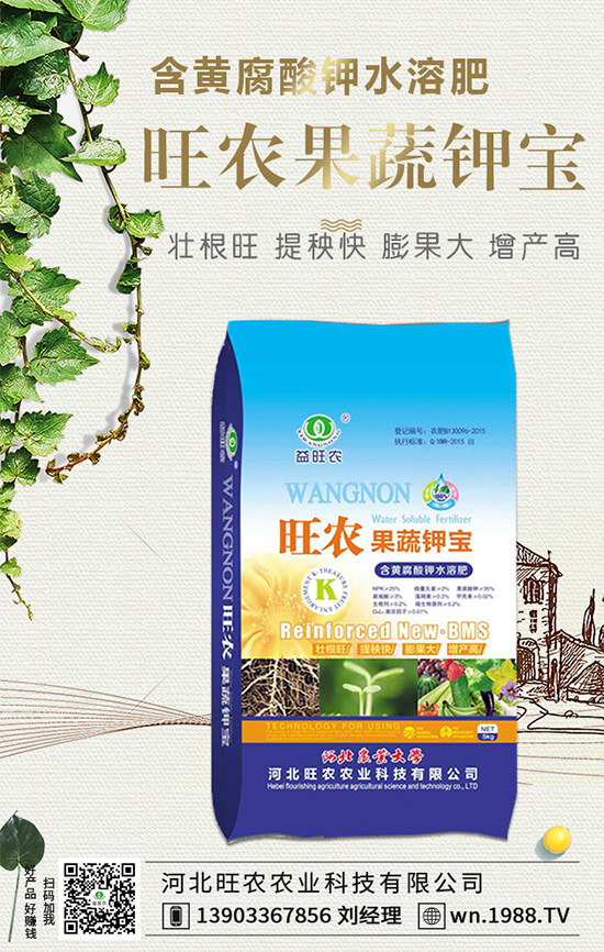 ���������L��������Щ���������B(y��ng)�oҪ�c��