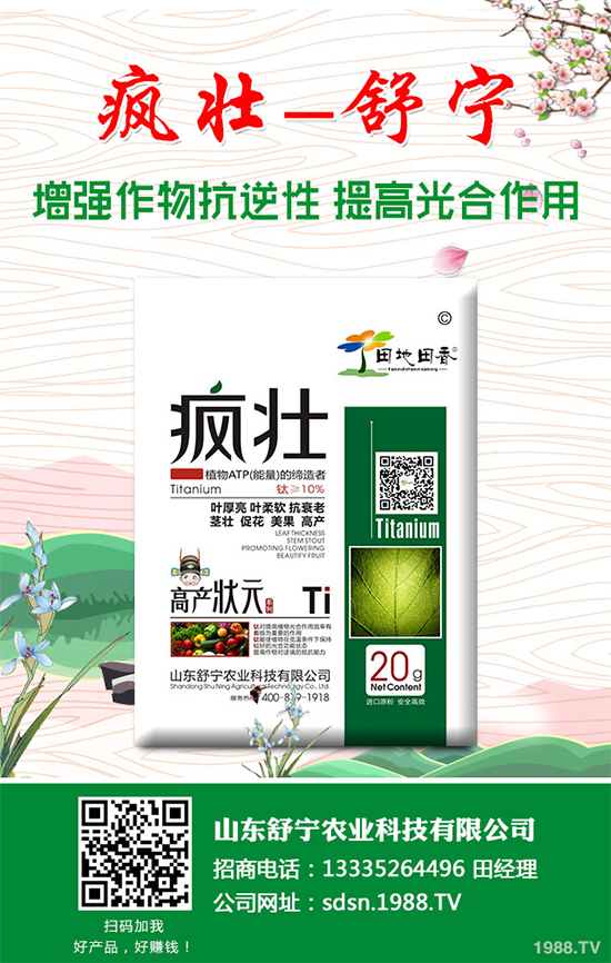 �Nֲ�㹽��ҪͶ��������㹽�Nֲ�ɱ���������