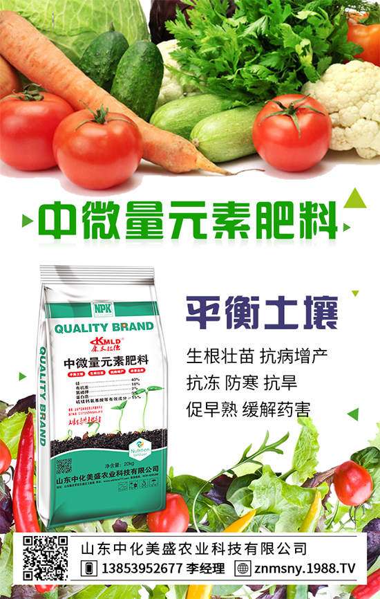 ������ݮ��ô�ܣ�������ݮ������ʩ��