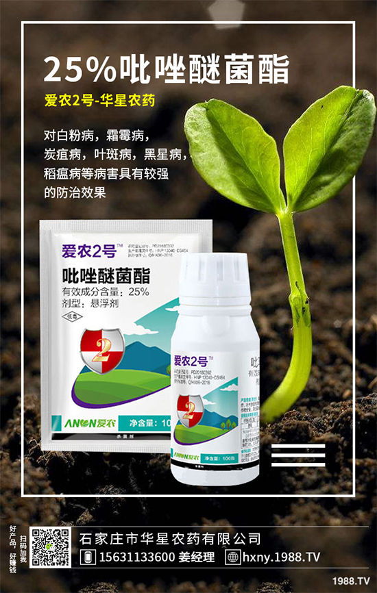 ���宐������