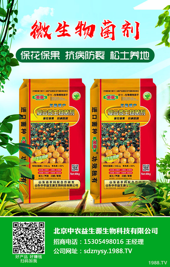     ����С���[��ηNֲ������С���[�Nֲ�r�g���Nֲ������