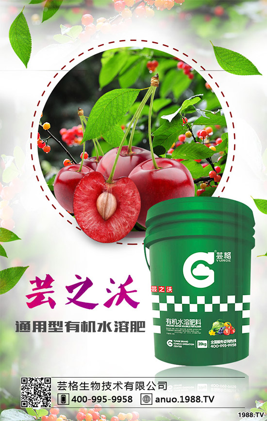 ������ԓ��ηNֲ��������ķNֲ��������