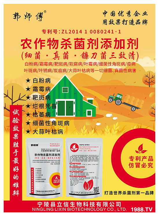 ��(x��)�����砵�����Ч�壨40kg��-��������