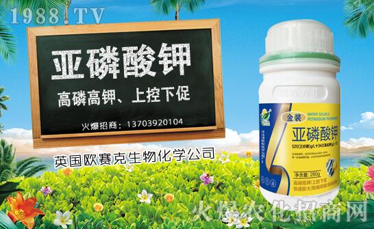 ľ��ʲô�r(sh��)��Nֲ��ľ�ϷNֲ�r(sh��)�g���Nֲ���g(sh��)Ҫ�c(di��n)��