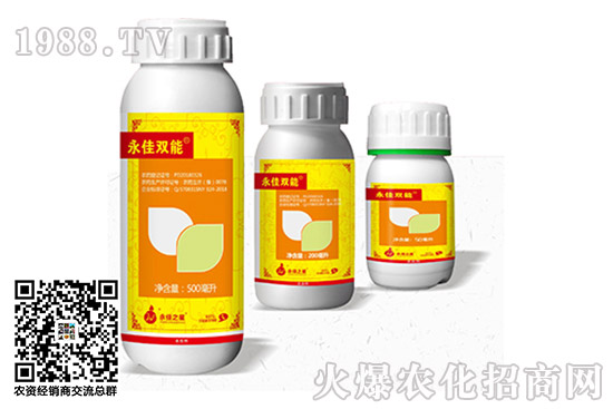 ���S���؃r������2020.10.18