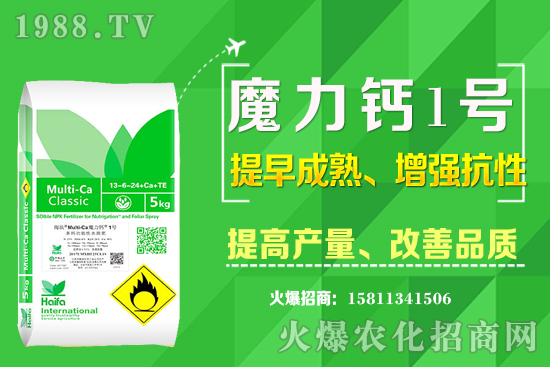 ʮ����Ѯ�m�ϷNֲʲô��ˎ������Щ��ˎ��ٍ�X�������