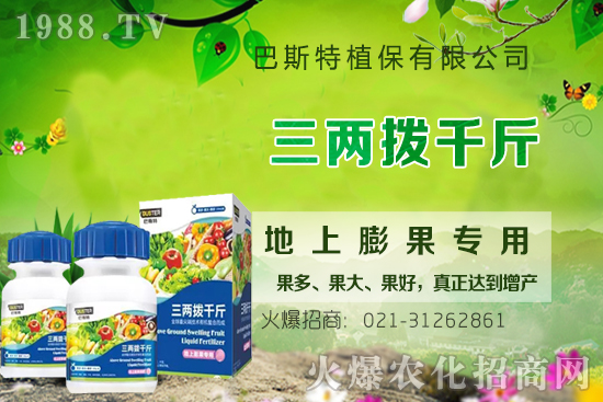 Ӱ�ţϥ��ϵ�����L(zh��ng)��������Щ��ţϥ����������ʲô�~�����