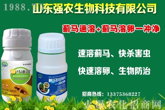 �ﶬ11�·Nֲʲô�߲˱��^���m���߲˷Nֲע�����(xi��ng)��