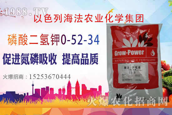 2020��10��28�����؃r(ji��)��(w��n)�����������؃r(ji��)�����(b��o)��