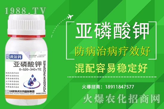 �������Ҫ��������ʲô������֮�g��ʲô�P(gu��n)ע��