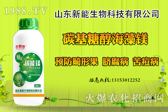 ���������ݮ���ι�ԭ�������F(xi��n)���ι���ô������