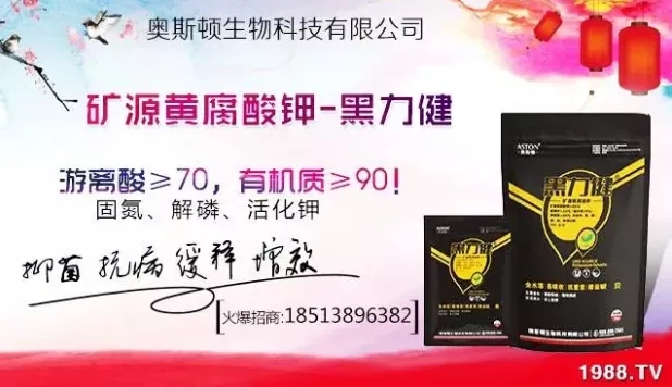 ����ʲô�r(sh��)�g���N��ע�����(xi��ng)����Щ�����ش���Nֲ�r(sh��)�g����