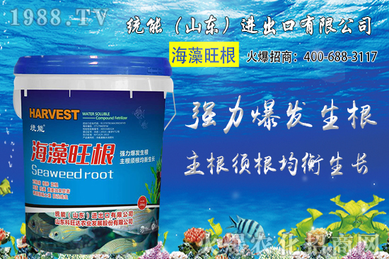 С���Nֲ�r�g��δ_����2020��С���Nֲע����Щ���}��