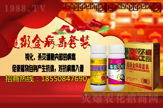 2020.11.17�Շ��ȴ󶹃r����Ϣ