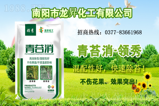 �󶹹�����(y��ng)�����r����m(x��)�ϝq�����ش󶹃r������