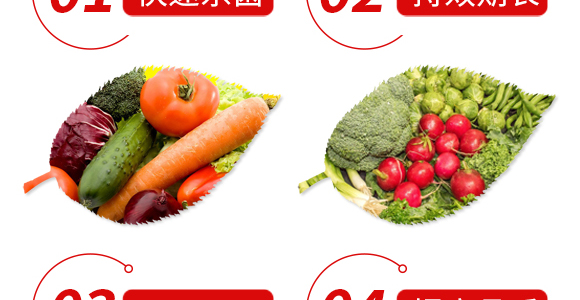 ΢�������-�������-��������_06