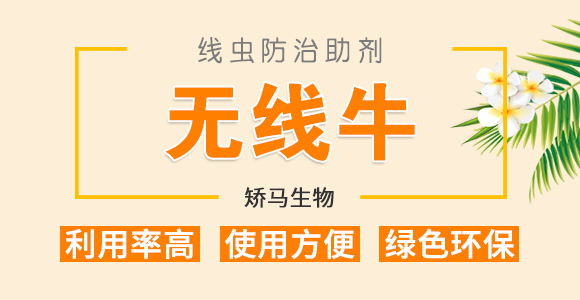 ���x��������-�o��ţ-�C�R����_01