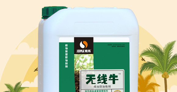 ���x��������-�o��ţ-�C�R����_02