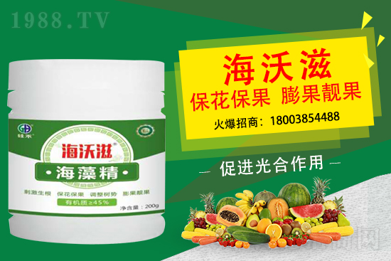 ��ɲ�ݮ��С��ʲô��������ô���M��ݮ�������