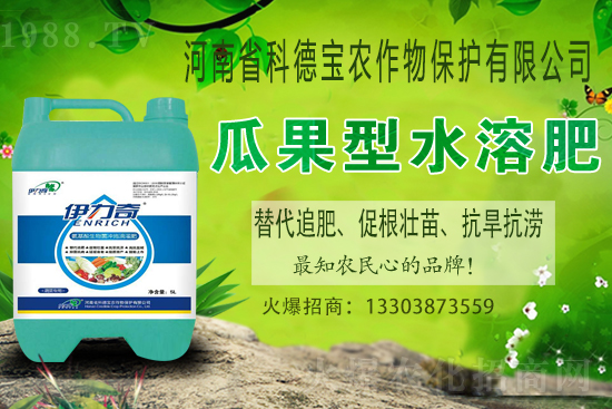 �����M��Ě��ʲô�r�����������������x�M��Ě����