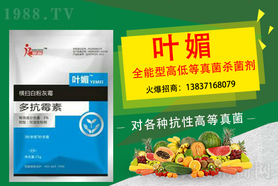 ������������̫�y�p������p�ɽ�Q��