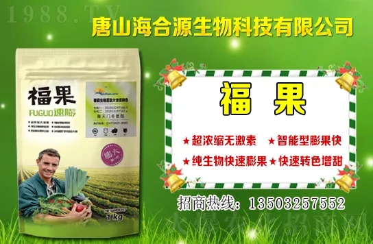 ĿǰС��?zh��n)�ُ�����Xһ�С���r�����������