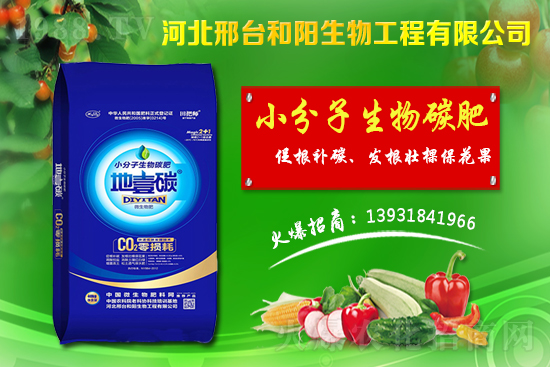 ����(ji��)ǰС���r(ji��)���(hu��)����(hu��)�q������С���r(ji��)��������