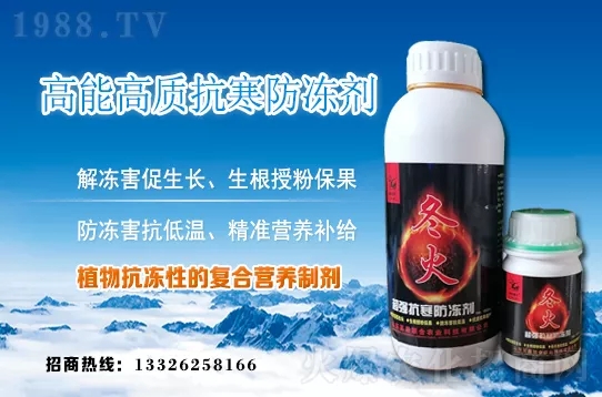 早春韭菜如何施肥？韭菜施肥方法和注意事項！