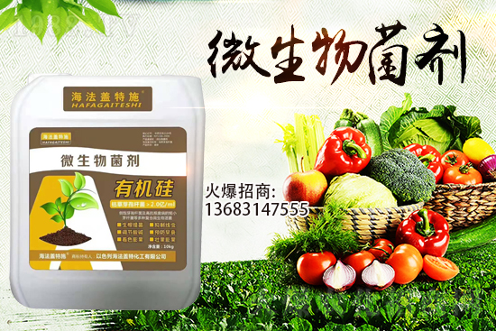 �������u��������m(x��)�͜�����������Ҫ�c(di��n)��