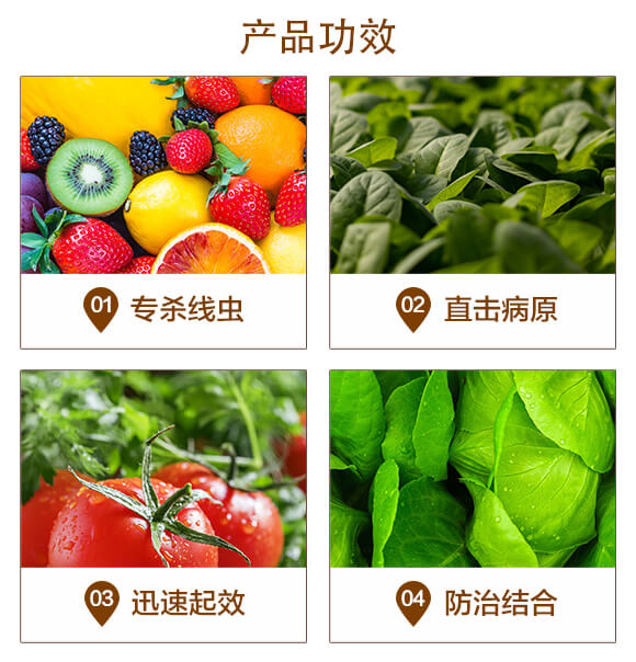 �����T���������ľù���ͺϾ���-�൶-���u֮��_03