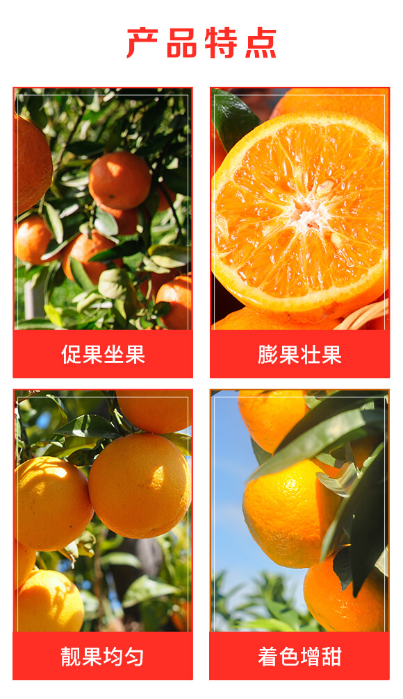 ��ֲ��Դ������-����٘�-��ʢ���S_03