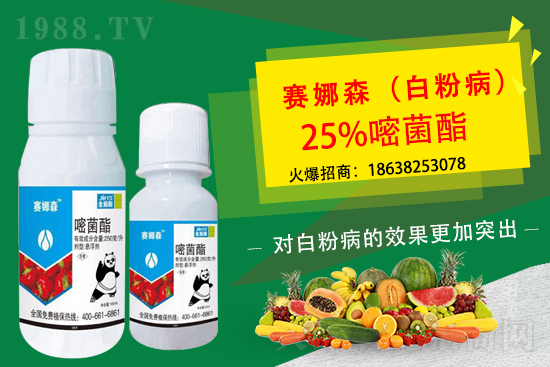 ��ݮ�׷۲����u���p�~��������ݮ�׷۲�Ҫ��η��أ�