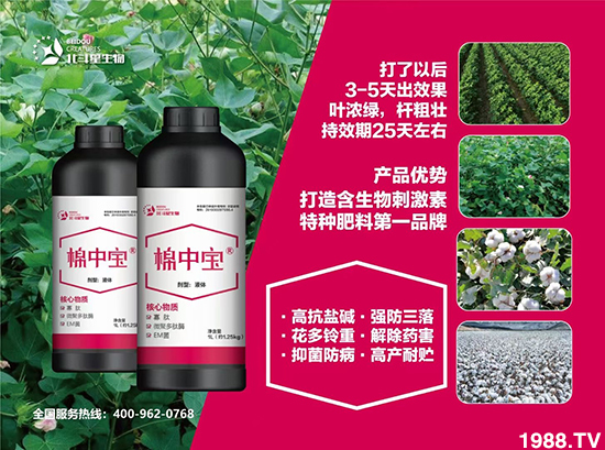 �طN�ʞ�ʲô�@ô����ʲô���c֮̎��