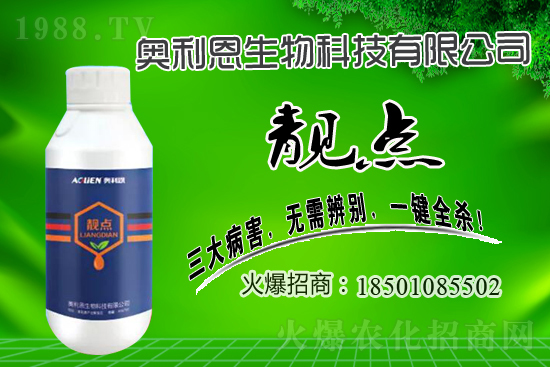 ��������~�������r������2020.12.24 