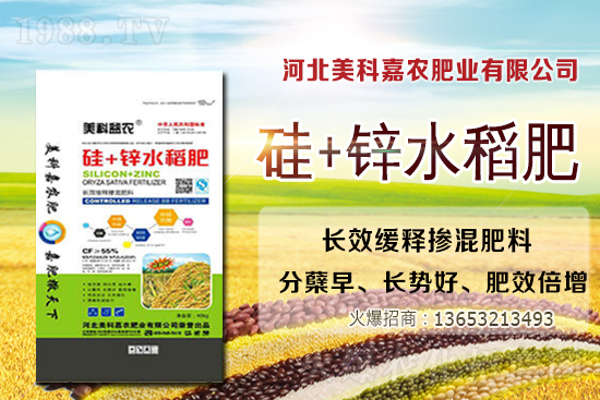 2020-12-24�Շ�(gu��)��(n��i)���؅^(q��)С���r(ji��)������