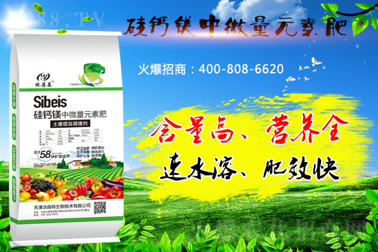 ���}�VԪ�ط����˽���٣���̎����Щ��