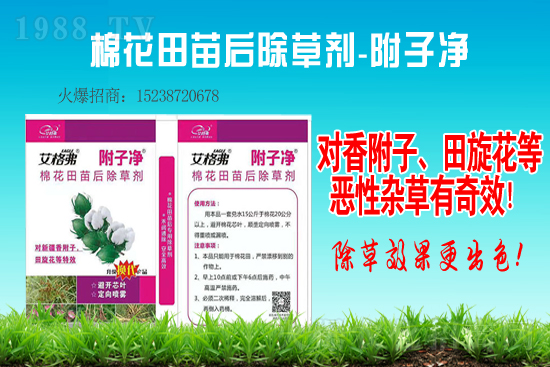 2020��12��25�Ք��ݰ����݄��r���Ӎ