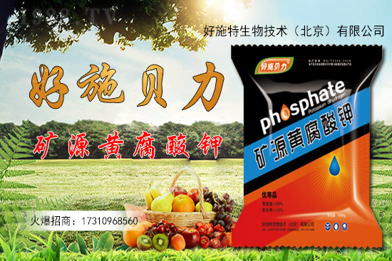 �󽪶����Xһ�����󽪷Nֲǰ������������Nֲ���g(sh��)��