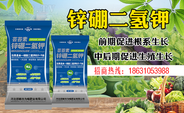 ����ƽ����ԓ���ӝ�ˮ����ʲôˮ�ã�