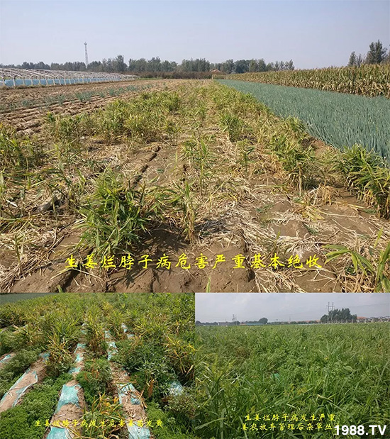     �l(f��)�������a(ch��n)Ʒ������أ�n������ʽ���ؠ����Ӳ����Ñ���������Ч����������