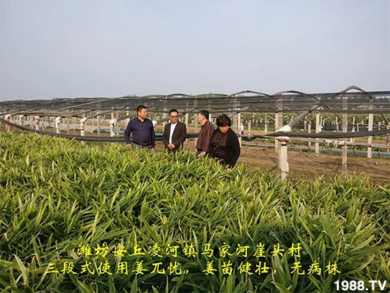     �l(f��)�������a(ch��n)Ʒ������أ�n������ʽ���ؠ����Ӳ����Ñ���������Ч����������