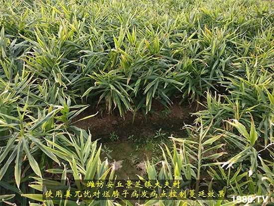     �l(f��)�������a(ch��n)Ʒ������أ�n������ʽ���ؠ����Ӳ����Ñ���������Ч����������