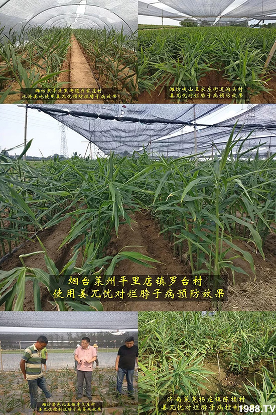     �l(f��)�������a(ch��n)Ʒ������أ�n������ʽ���ؠ����Ӳ����Ñ���������Ч����������