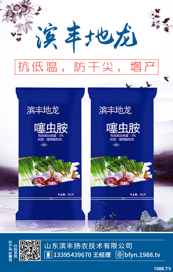     ���������ȏͺϷʃr���߄ݼ��������u��