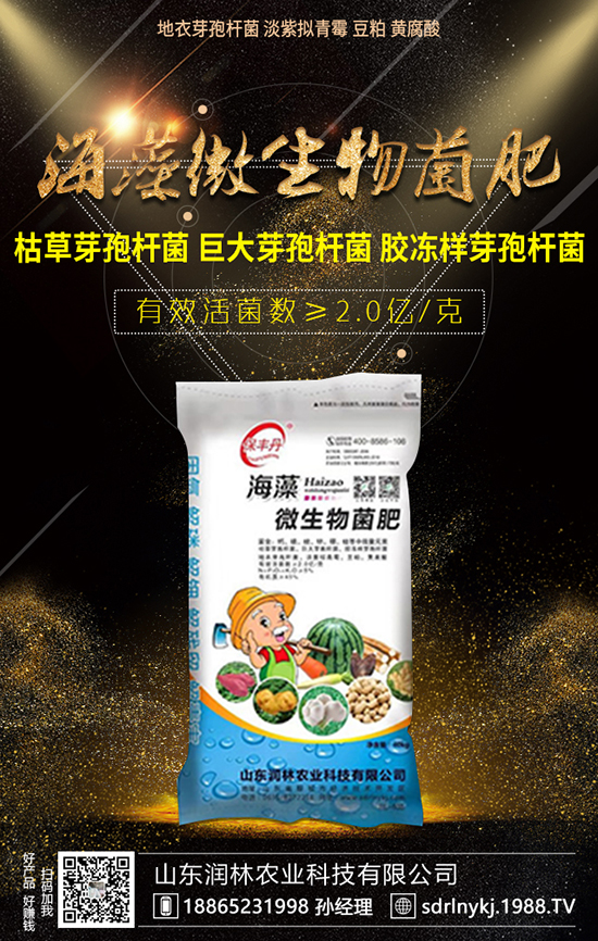 玉米春季播種和施肥技術(shù)，大家了解嗎？